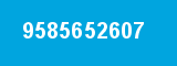 9585652607