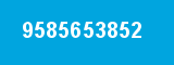 9585653852 9585653852