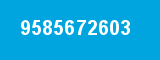 9585672603 9585672603