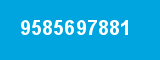 9585697881