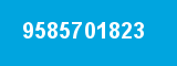 9585701823