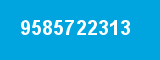 9585722313