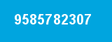 9585782307