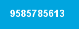 9585785613