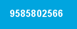 9585802566 9585802566