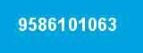 9586101063