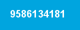 9586134181