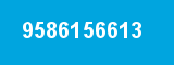 9586156613 9586156613