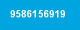 9586156919