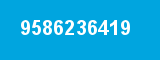 9586236419