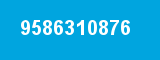9586310876