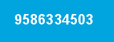 9586334503
