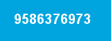 9586376973 9586376973