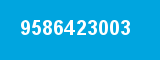 9586423003 9586423003
