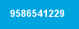 9586541229 9586541229