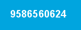 9586560624
