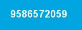 9586572059