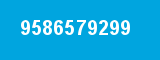 9586579299