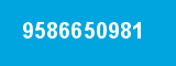 9586650981 9586650981