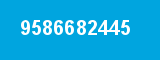 9586682445 9586682445