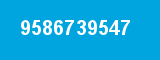 9586739547 9586739547