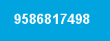 9586817498