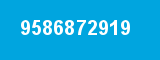 9586872919 9586872919