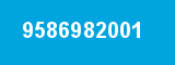 9586982001 9586982001