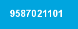 9587021101