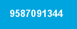 9587091344