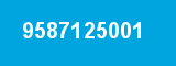 9587125001 9587125001