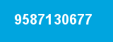 9587130677