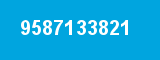 9587133821