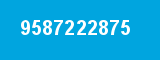 9587222875 9587222875
