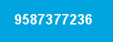9587377236