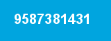 9587381431