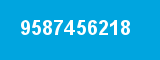 9587456218