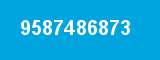 9587486873
