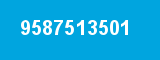 9587513501 9587513501