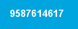 9587614617