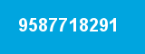 9587718291