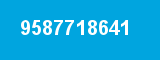 9587718641 9587718641