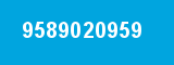9589020959