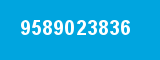 9589023836