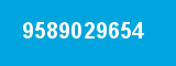 9589029654