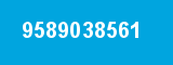 9589038561 9589038561