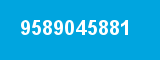 9589045881 9589045881