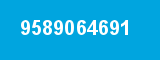 9589064691 9589064691