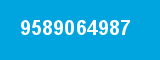 9589064987 9589064987