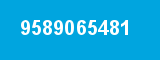 9589065481